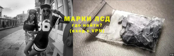 стафф Касимов
