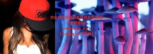 стафф Касимов
