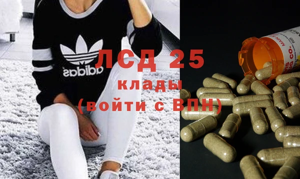 стафф Касимов