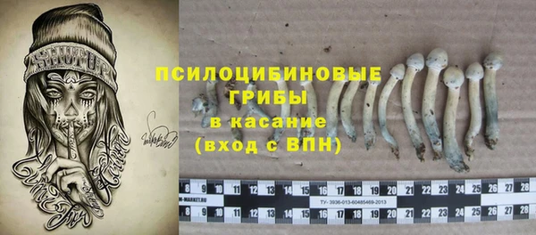 стафф Касимов