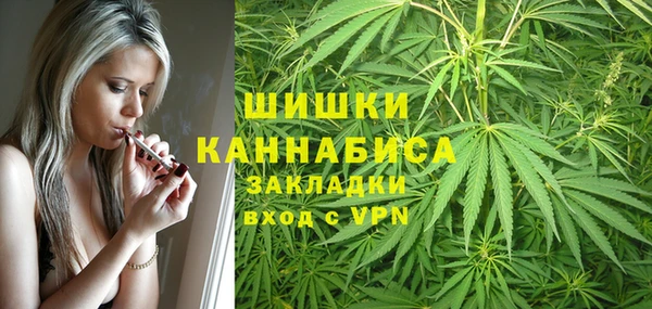 стафф Касимов